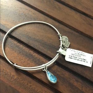 Alex and Ani Living Water Bracelet